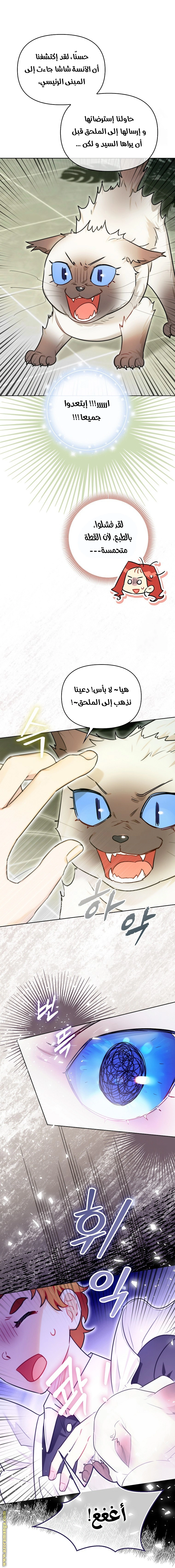 I Reincarnated As A Villainess, But Why Did I Become A Cat Butler Instead? - فصل 29 - صفحة 7